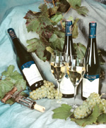 Weine der Wachau