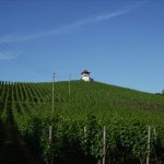 Bodensee-Basel