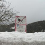 schifahren2009