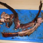 weihnachtsfeier