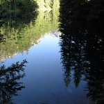 gruenersee