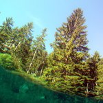 gruenersee